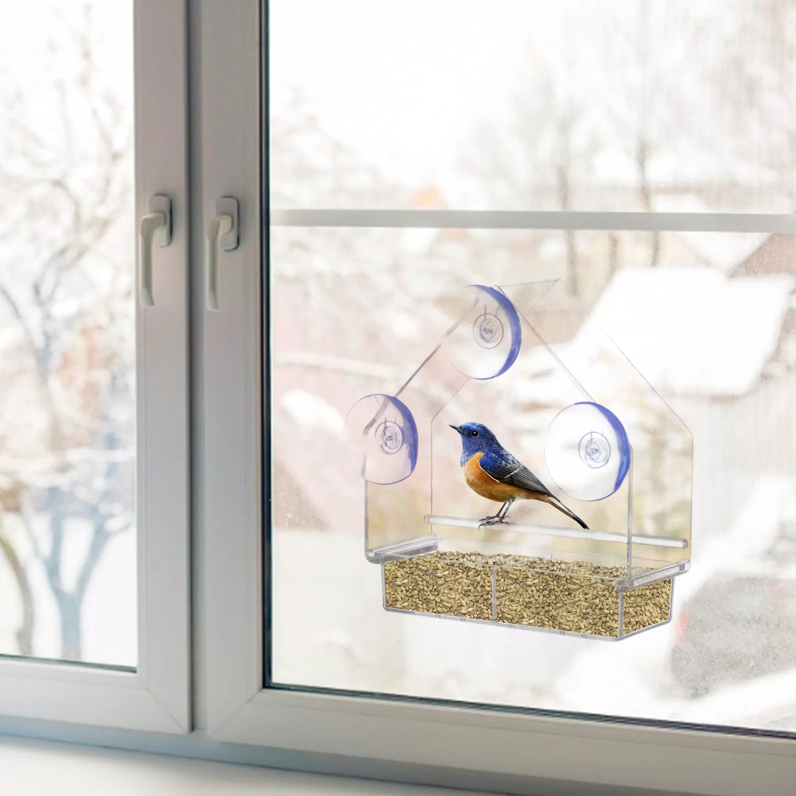 Window Bird Feeder House Shape Weather Proof Transparent Suction Cup Outdoor Birdfeeders Hanging Birdhouse for outside Garden